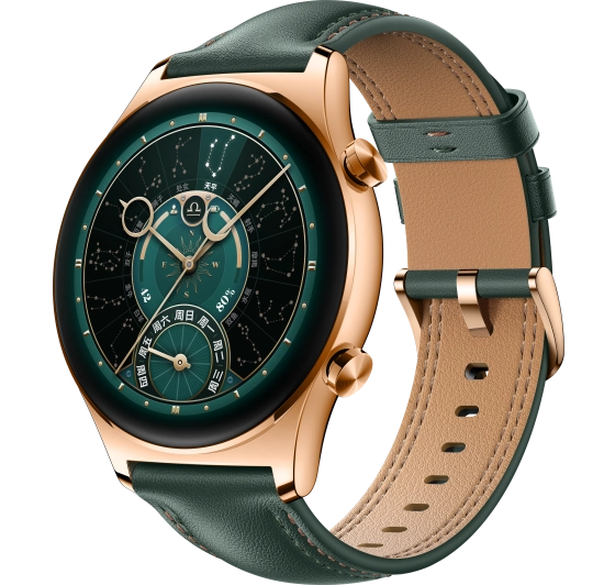 HONOR Watch GS 4